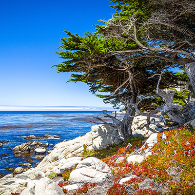 17-Mile Drive Pebble Beach - California - California, United States - Geovea