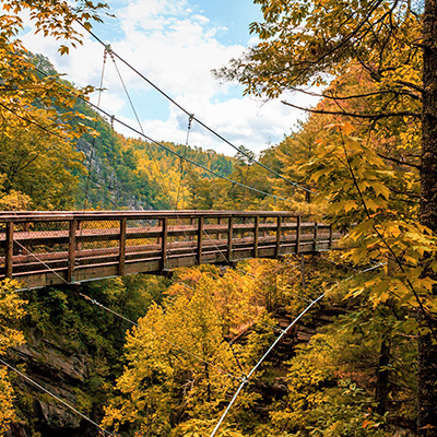 Mountain Escape - Georgia and South Carolina - South Carolina, United States - Geovea