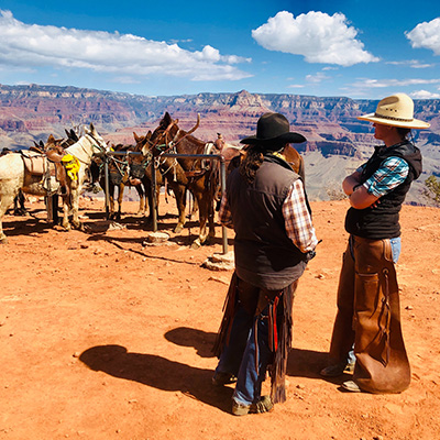 Southwest USA Four Corners - New Mexico, United States - Geovea